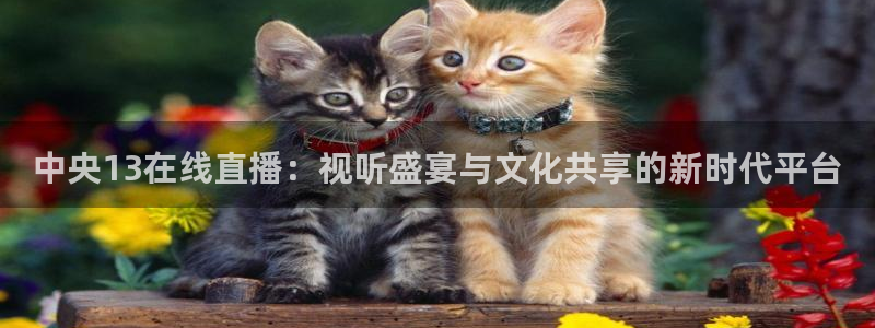 熊猫足球直播免费观看：中央13在线直播：视听盛宴与文化共享的新时代平台