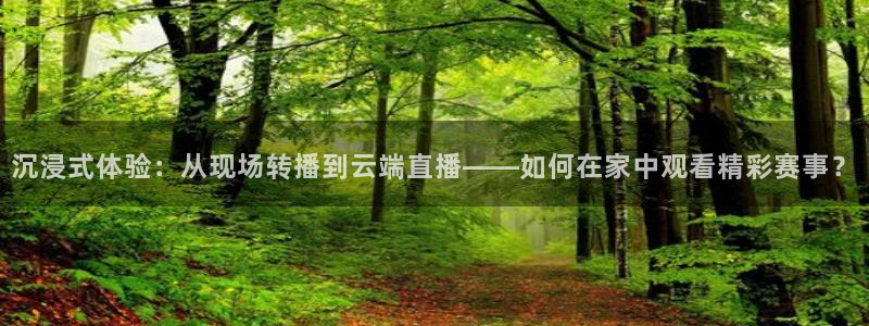 熊猫在线直播：沉浸式体验：从现场转播到云端直播——如何在家中观看精彩赛事？