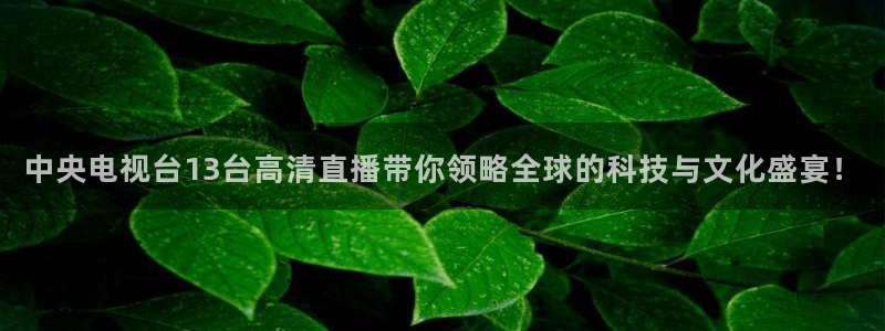 熊猫视频搞笑：中央电视台13台高清直播带你领略全球的科技与文化盛宴！
