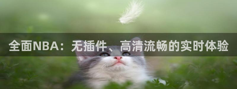 熊猫体育直播：全面NBA：无插件、高清流畅的实时体验