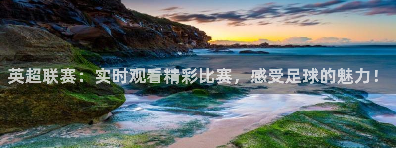 熊猫游戏直播：英超联赛：实时观看精彩比赛，感受足球的魅力！