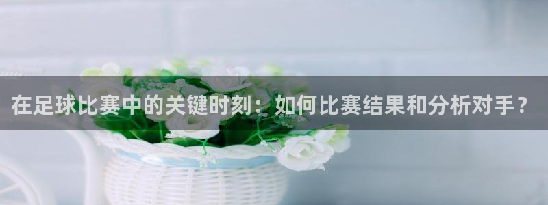 熊猫足球直播免费观看