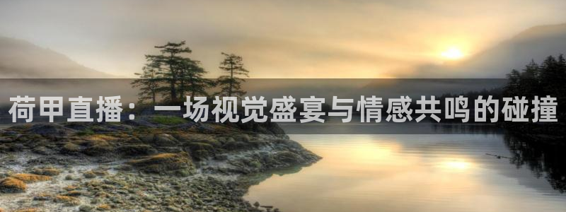 熊猫体育在线直播app：荷甲直播：一场视觉盛宴与情感共鸣的碰撞