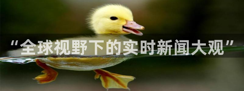 熊猫视频 直播：“全球视野下的实时新闻大观”