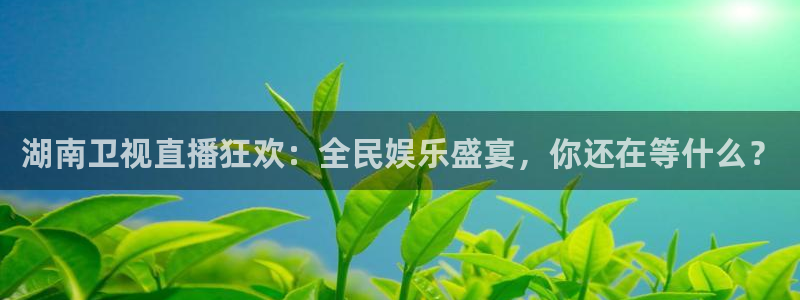 熊猫跳舞视频：湖南卫视直播狂欢：全民娱乐盛宴，你还在等什么？
