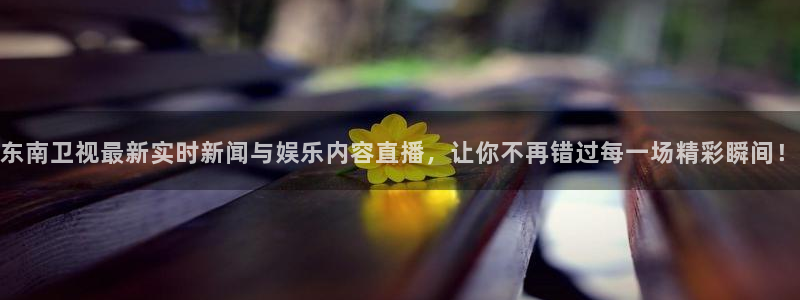 直播平台 熊猫：东南卫视最新实时新闻与娱乐内容直播，让你不再错过每一场精彩瞬间！
