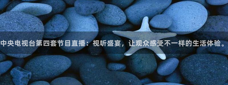 熊猫足球直播平台：中央电视台第四套节目直播：视听盛宴，让观众感受不一样的生活体验。
