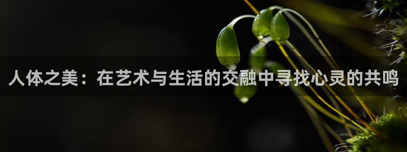熊猫直播下载：人体之美：在艺术与生活的交融中寻找心灵的共鸣