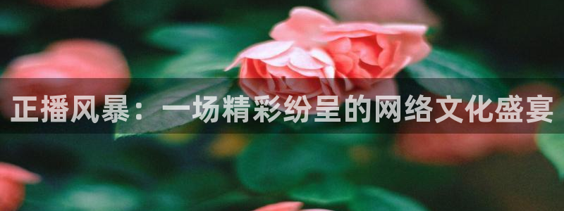 熊猫体育直播app点击启动.进新版.org：正播风暴：一场精彩纷呈的网络文化盛宴