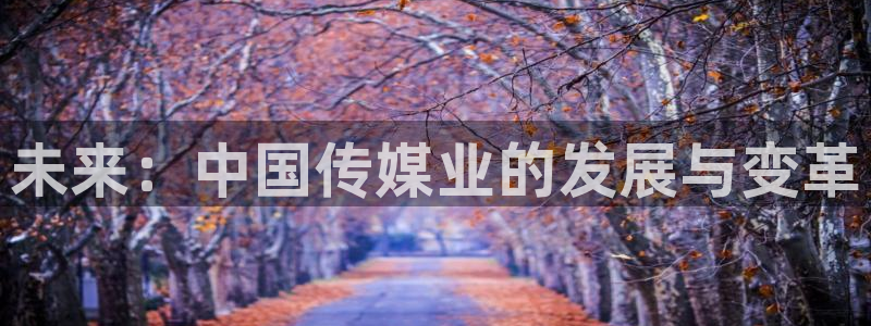 熊猫直播平台官网：未来：中国传媒业的发展与变革