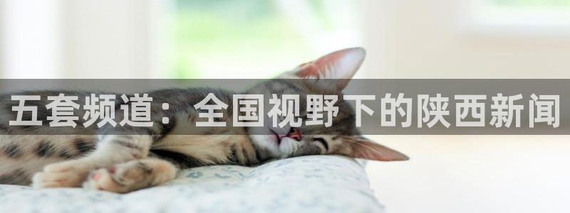 熊猫体育平台：五套频道：全国视野下的陕西新闻