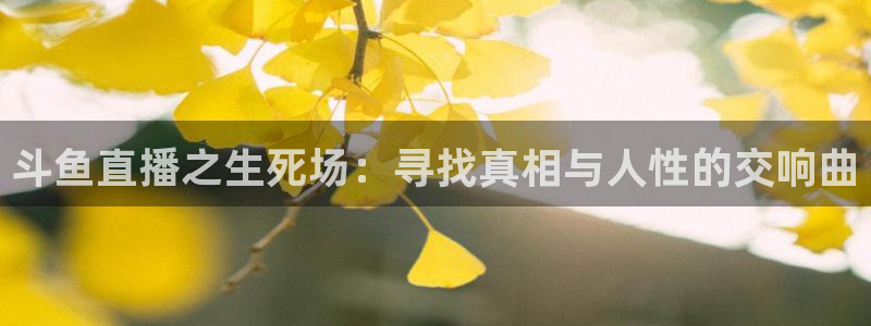 熊猫的视频：斗鱼直播之生死场：寻找真相与人性的交响曲