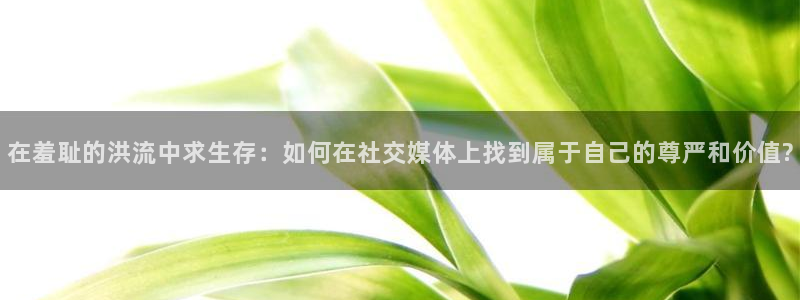 熊猫体育直播nba：在羞耻的洪流中求生存：如何在社交媒体上找到属于自己的尊严和价值?