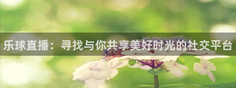 熊猫直播下载免费安装：乐球直播：寻找与你共享美好时光的社交平台