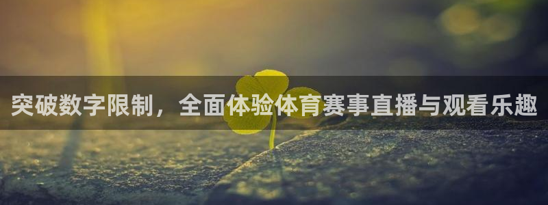熊猫体育官网：突破数字限制，全面体验体育赛事直播与观看乐趣